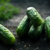 3 green cucumbers on black wooden table